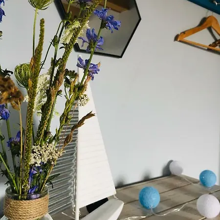 Za Stodola Farm stay *